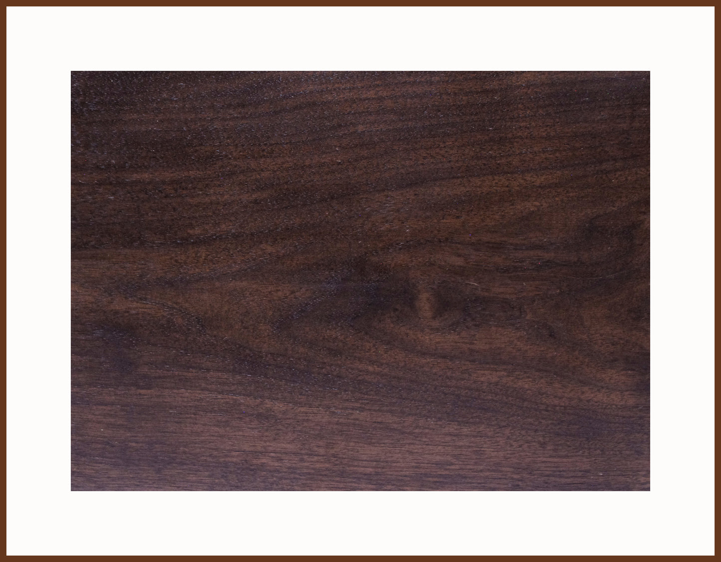 2145 - Curved Leg Bonsai Stand Walnut Hardwood - Dark Walnut Finish 12 3/8" Length, 9 1/4" Width, 4" Height
